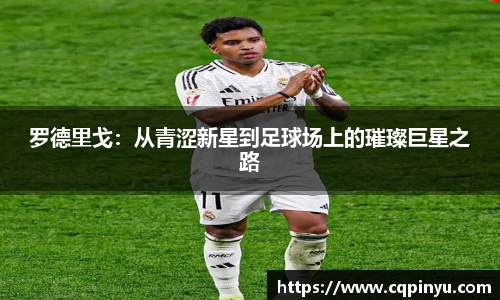 k1体育-十年品牌